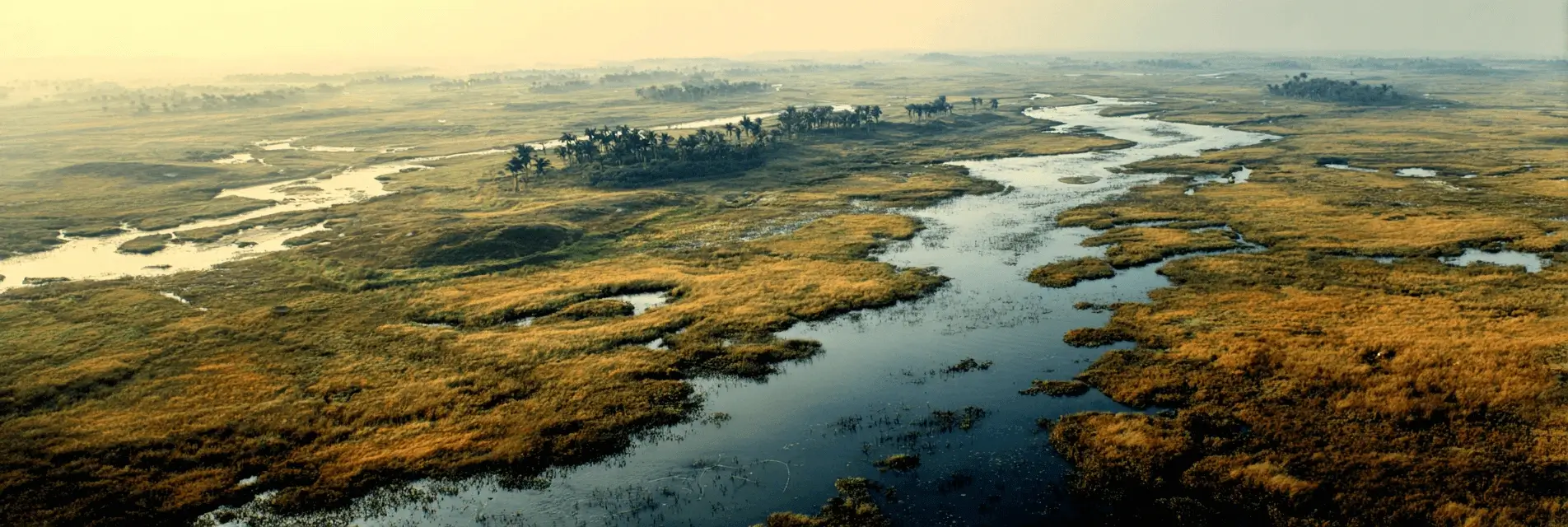 rial view of the vast wetlands of Bangweulu wetlands in the Zambhia, showing winding rivers, grassy marshes, and isolated clusters of trees under a hazy golden sky.