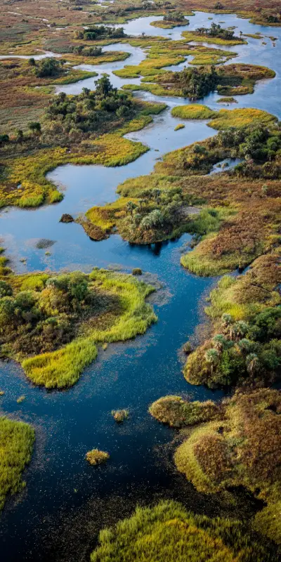 Aerial view of the vast wetlands of Bangweulu in Zambia, showing winding rivers, grassy marshes, and isolated clusters of trees under a hazy golden sky.
