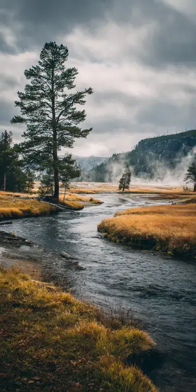 panoramic landscape of yellowstone